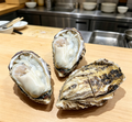 Fresh Pacific Oysters